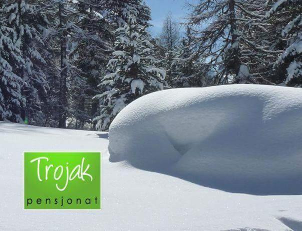 Pensjonat Trojak Lądek-Zdrój Extérieur photo