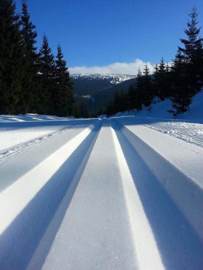 Pensjonat Trojak Lądek-Zdrój Extérieur photo